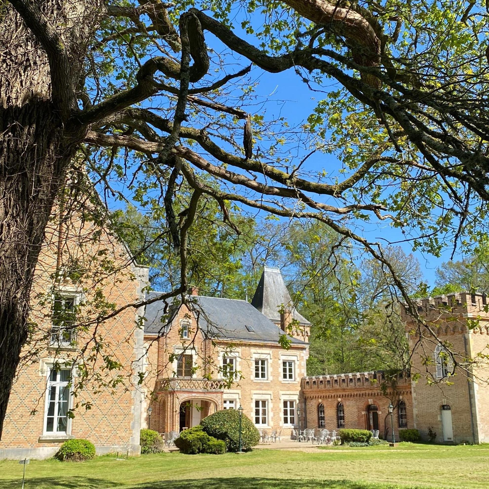 Hostellerie Du Chateau Les Muids La Ferté-Saint-Aubin エクステリア 写真